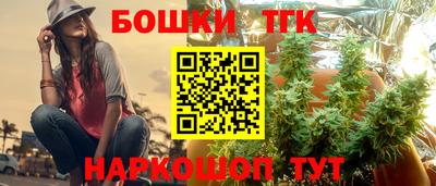 МДПВ Шелехов