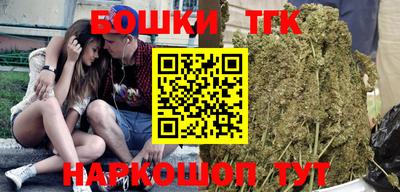 МДПВ Шелехов