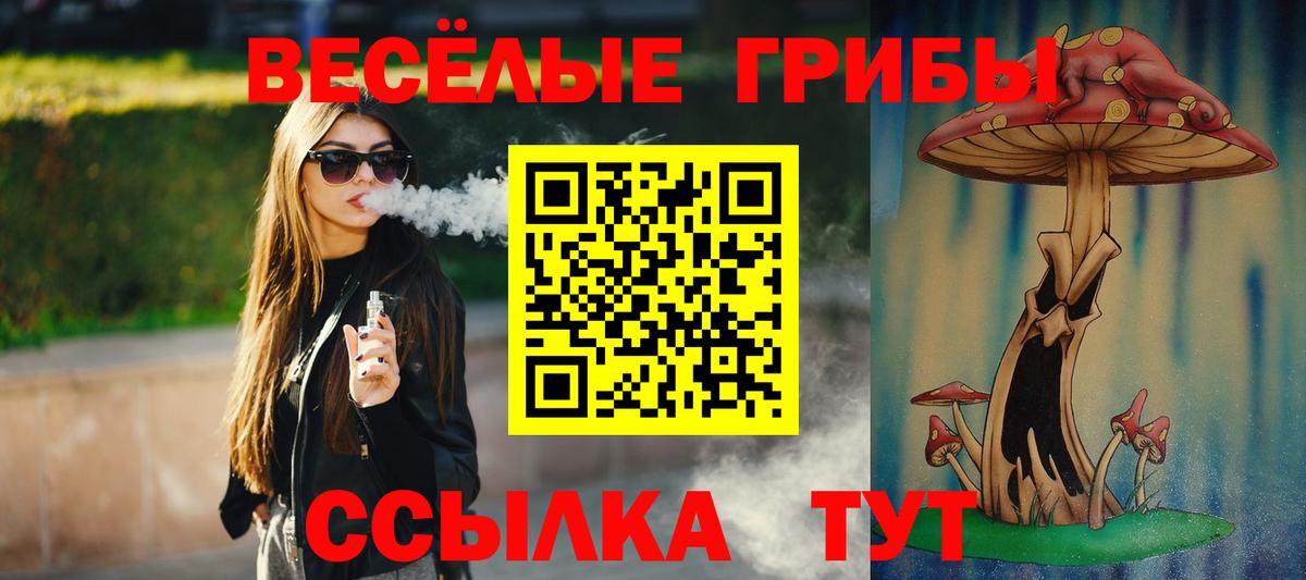 Галлюциногенные грибы Cubensis Белгород