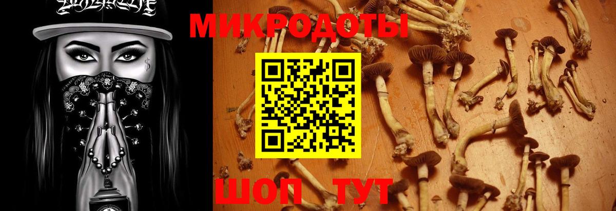 купить наркоту  Вход с VPN  Белгород  Галлюциногенные грибы MAGIC MUSHROOMS 